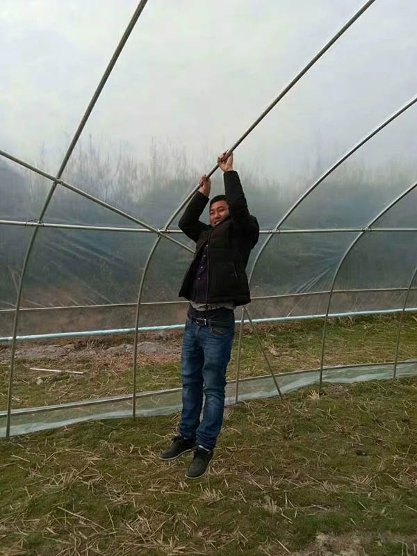 罗城单体大棚