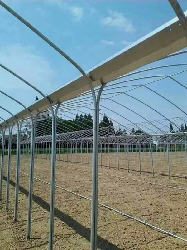 罗城连体大棚